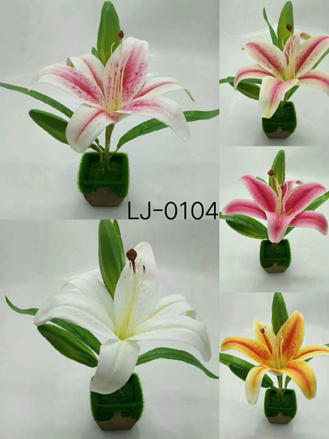 WeChat 圖片_20200704104515