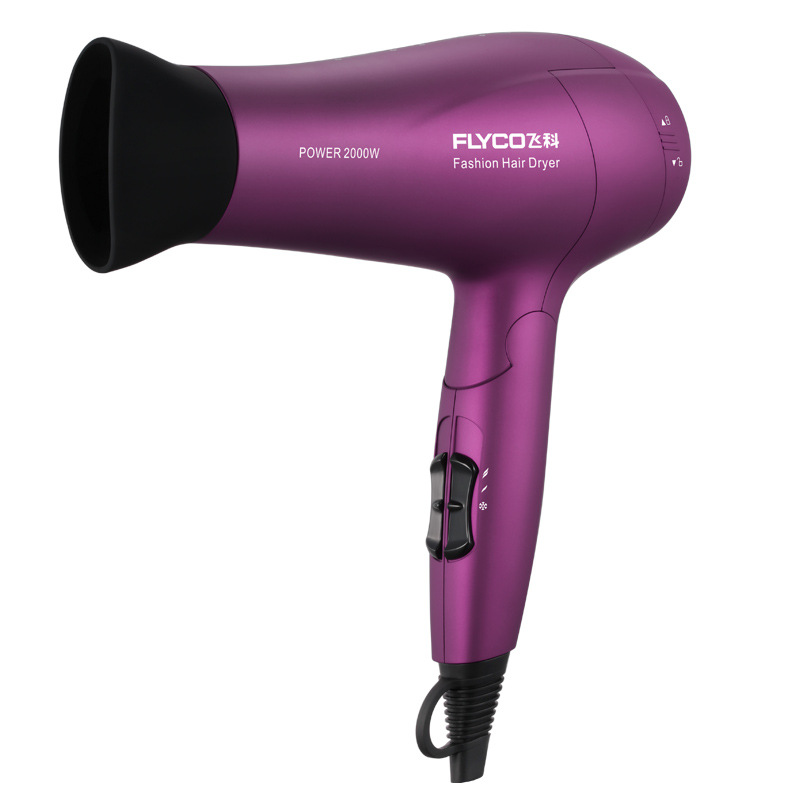 Shanghai Agents Flying Branch FH6618 hair drier Hair drier 2000W Hot air high-power Anion Hair