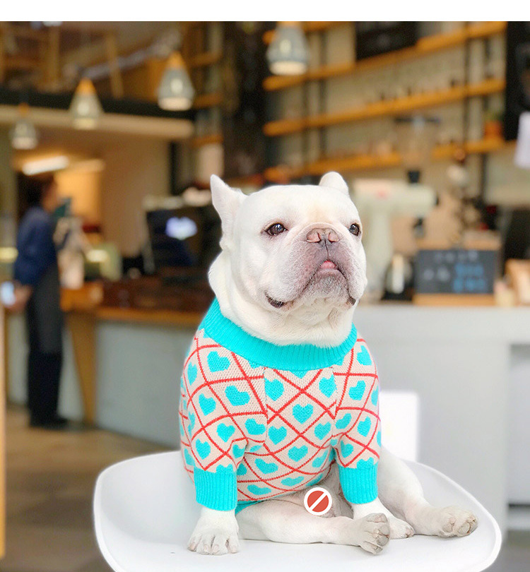 Pet Sweater Image 2
