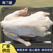 山東冷凍食品批發 農家散養白條鵝 冷凍鵝肉朗德鵝可批發零售