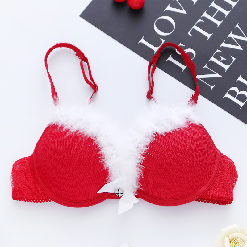 2024 New Foreign Trade European and American Lace Mesh Christmas Underwear Bra Set with Underwire and Thin Molded Cups