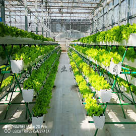 A字支架栽培高架草莓蔬菜种植架水培蔬菜营养土 大棚水果种植槽