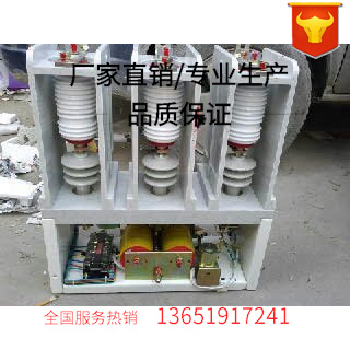 CKG-7.2KV/800A高压交流真空接触器保证 专业制造