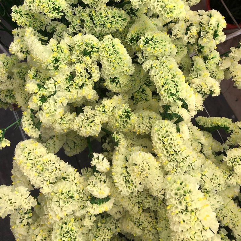 微信图片_20200221143134_副本