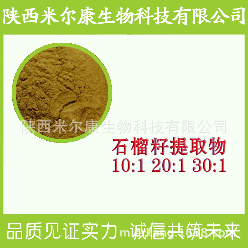石榴籽提取物 30:1 石榴籽粉 石榴籽提取 规格多种 现货