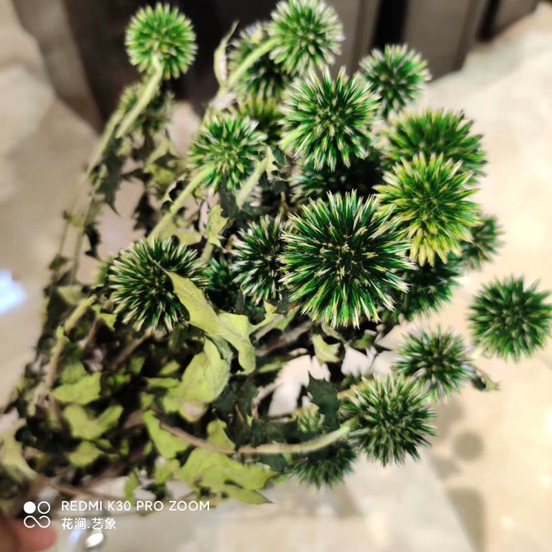 微信图片_20200717232143