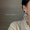 Silver needle, earrings, Japanese and Korean, 2022 collection, internet celebrity