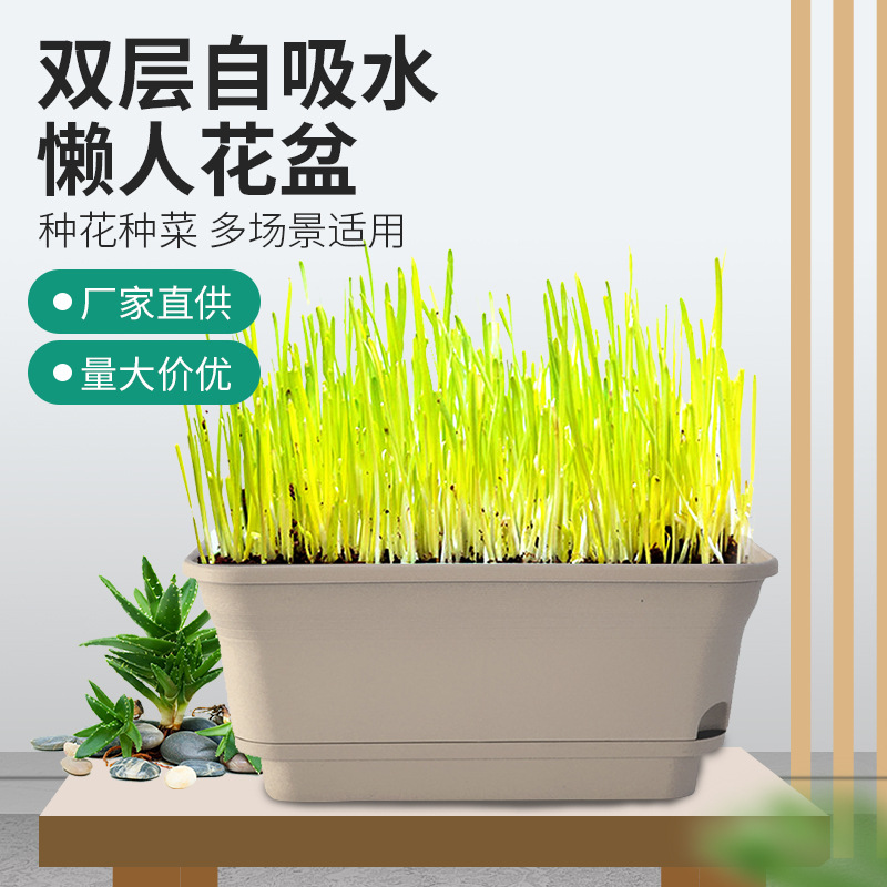 水栽培花盆 水栽培花盆批发 促销价格 产地货源 阿里巴巴