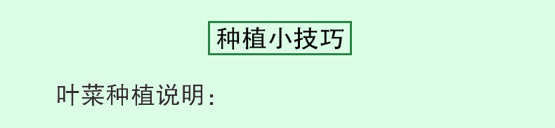 1_09.jpg