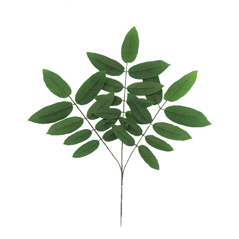 XRB-142 核桃枝三叉平面枝3