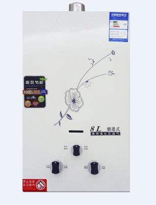 几米生活热水器批发PM-02数码恒温1012L天然气液化气家用燃气热
