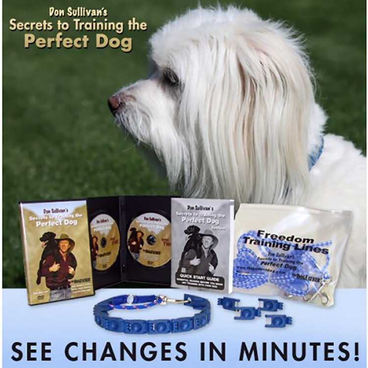 微信图片_20200506204800_副本