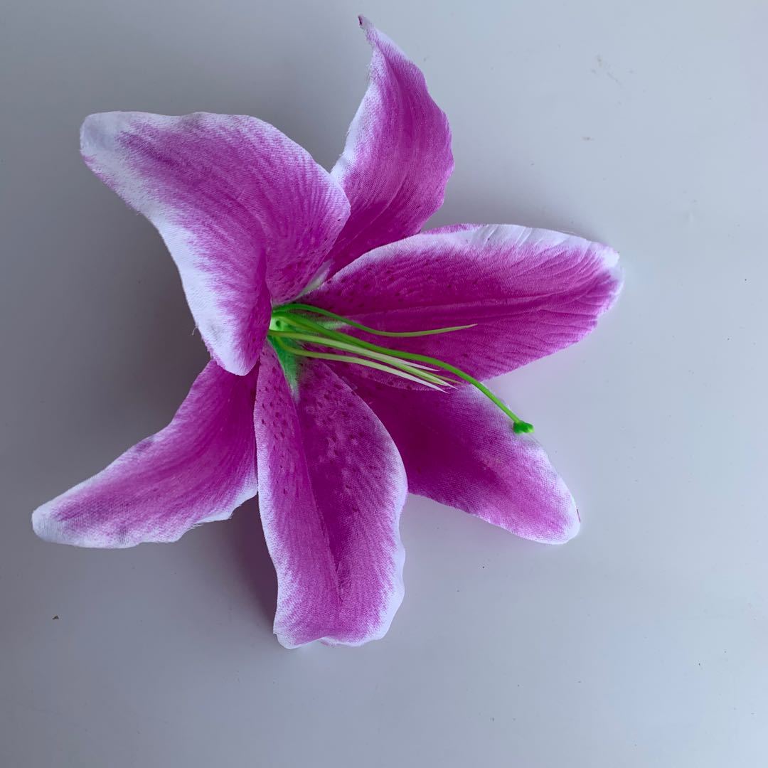 微信图片_2020050810460515