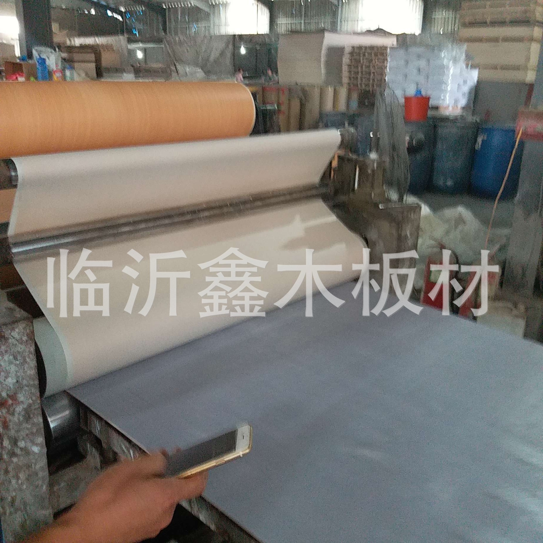 PVC贴面桉木芯胶合板