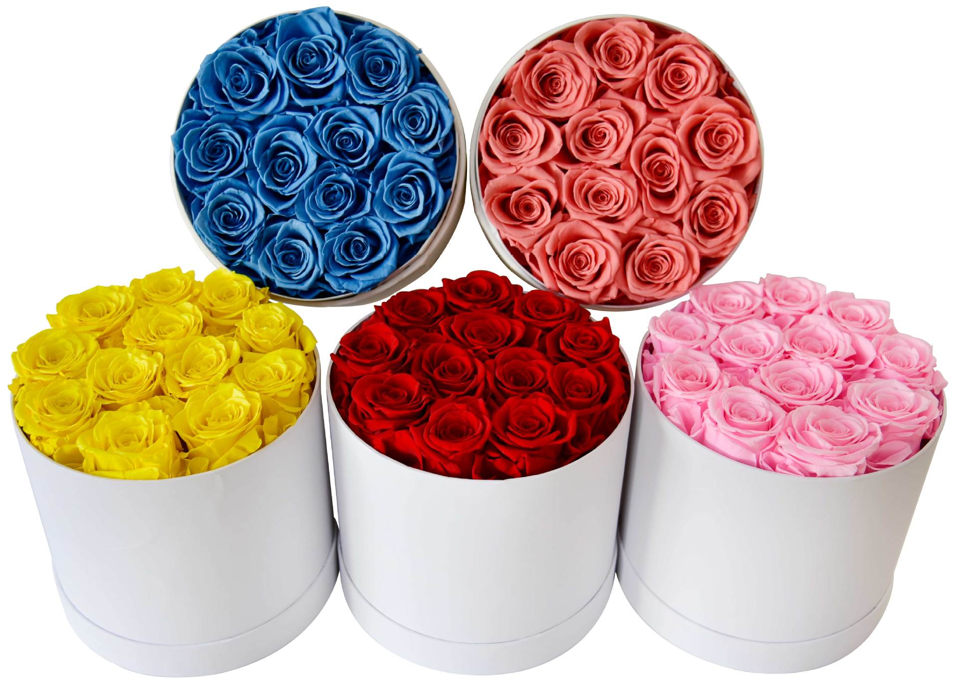 d4613bfa268f2baae4790944be6e80