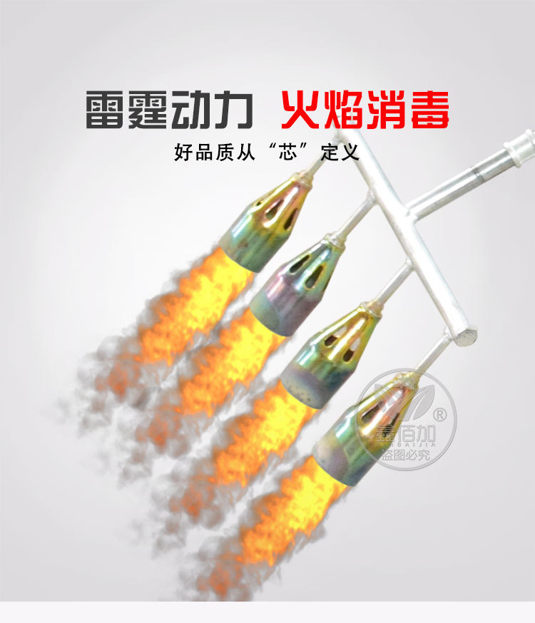 火焰消毒枪CA详情页 (1).jpg