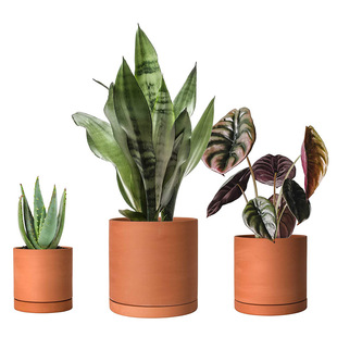 �մɼt���������С3���b���߳���ɫ�����̨���b�Gֲ���Ԏ�����