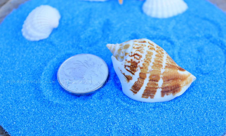 Decoración de micro paisaje de musgo, concha de arena azul fina, caracol, suculentas, decoración de jardinería