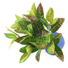 ����G�} ֲ����̾��^���̈����bҾӔzӰܛ�b���滨�ٻ�