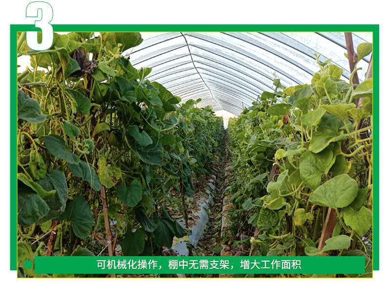 8ccbd5b93f06562bb04e013dc11eec