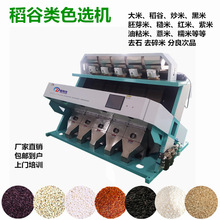 大米色选机稻谷分色机大米小米去石机家庭农场鲜米筛选机上门安装