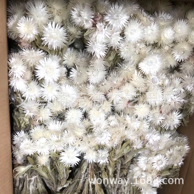 微信图片_20200410120053