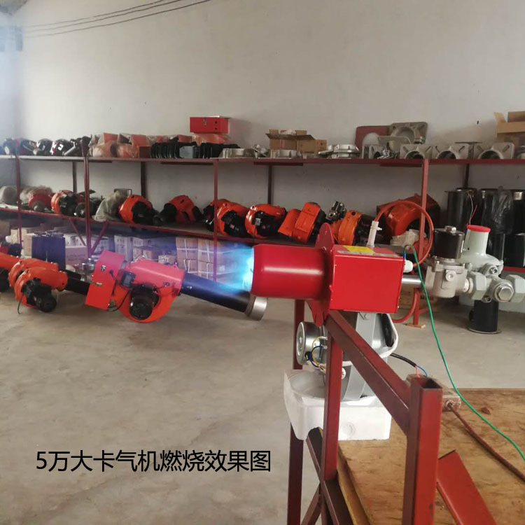 5万气机燃烧效果图