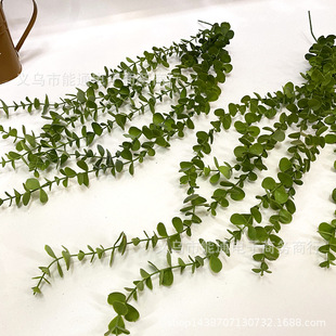 �ȼ��������ٗl��ֲ���~�������p�@��������ins���ϻ�c�����b�