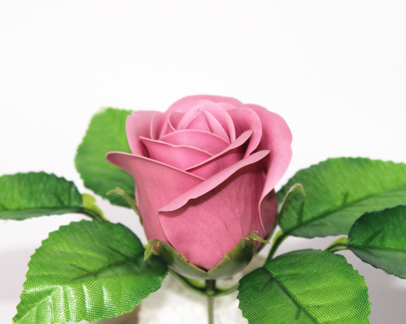 一键复制_20200227134219