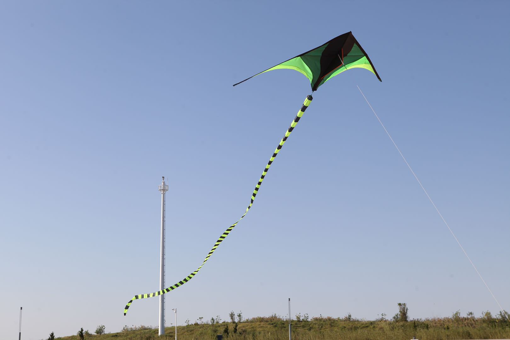 微信图片_20200219193248