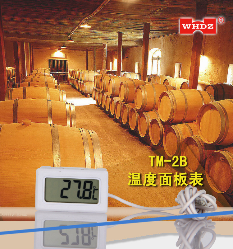数显温度计 TM-2B温度报警设置  室内外 昊宇电子