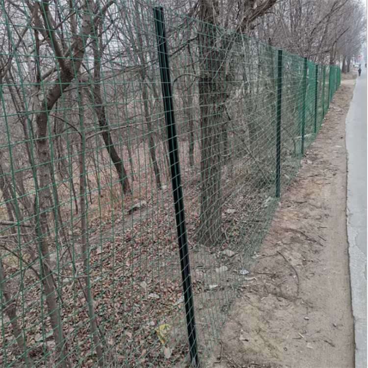 亿阔浸塑围网平纹编织包塑荷兰网厂家批发养殖圈地防护荷兰网