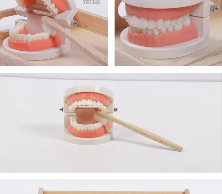 Montessori Brushing Set Image 5