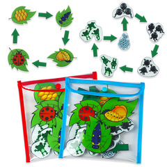 Early education teaching aids felt story cloth frog life cycle educational ladybug life cycle order cognition education