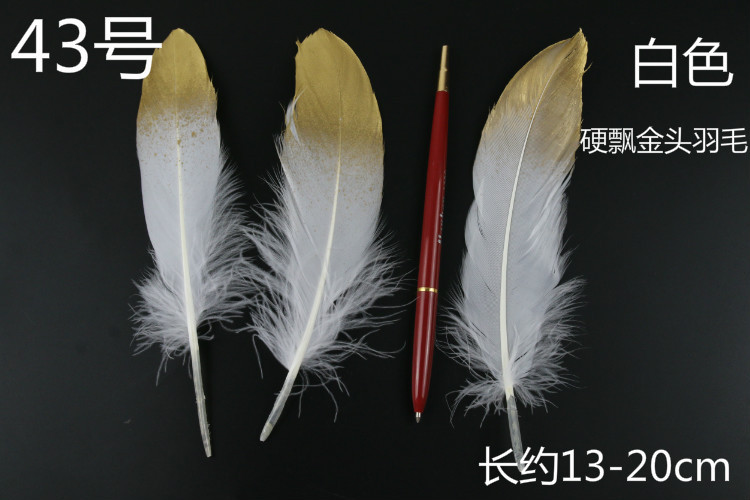 e4d9073c2d8c9c26b37198c8d62517