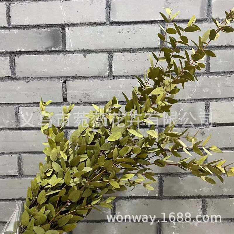 微信图片_20201209140359