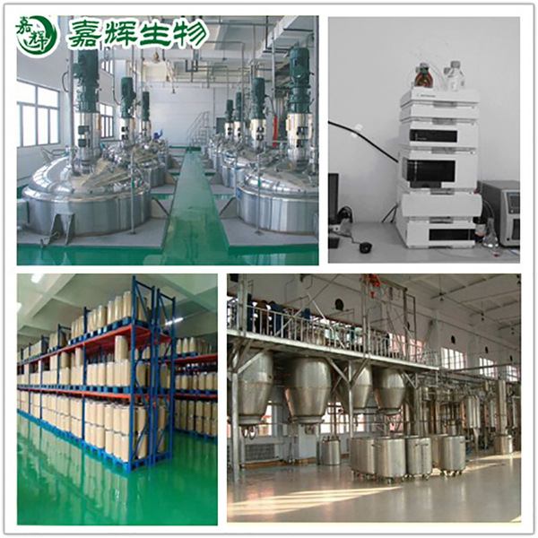 Nepeta extract 10: 1 Specification Jellin (flavonoids of flavonoids