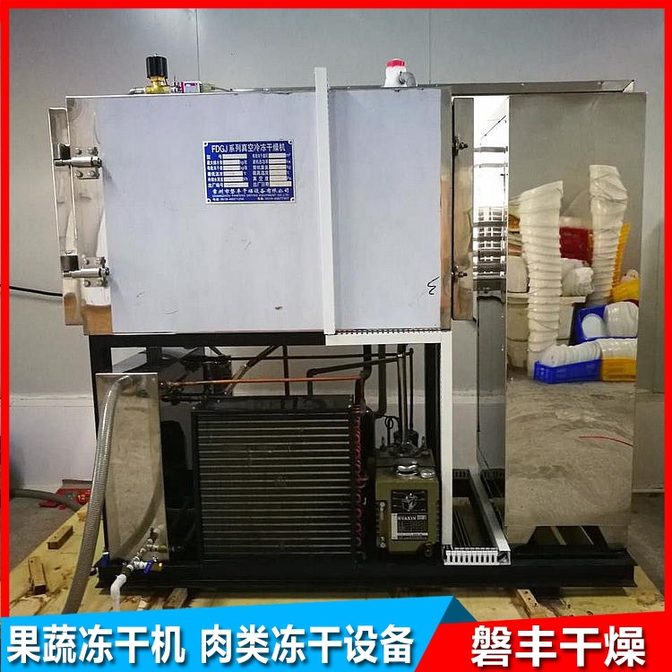小中型冷冻真空干燥机 大型真空冷冻干燥机 冻干果蔬食品干燥设备