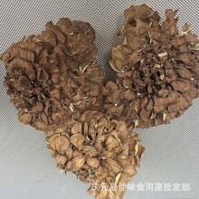 灰树花舞茸】_灰树花舞茸品牌/图片/价格_灰树花舞茸批发_阿里巴巴