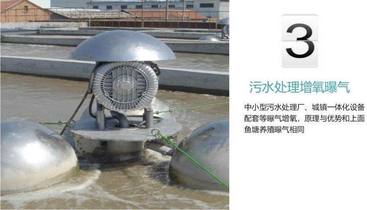 涡旋漩涡气泵 LRB-94S-3 25KW 牛粪物料堆发酵鼓风机