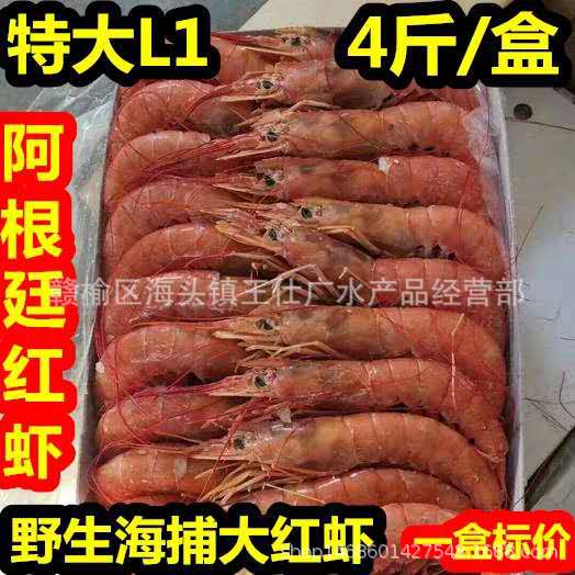 Argentine red shrimp L1 bright red Seafood Aquatic products fresh Freezing Prawns Fresh Shrimp Quick-freeze Super large Large