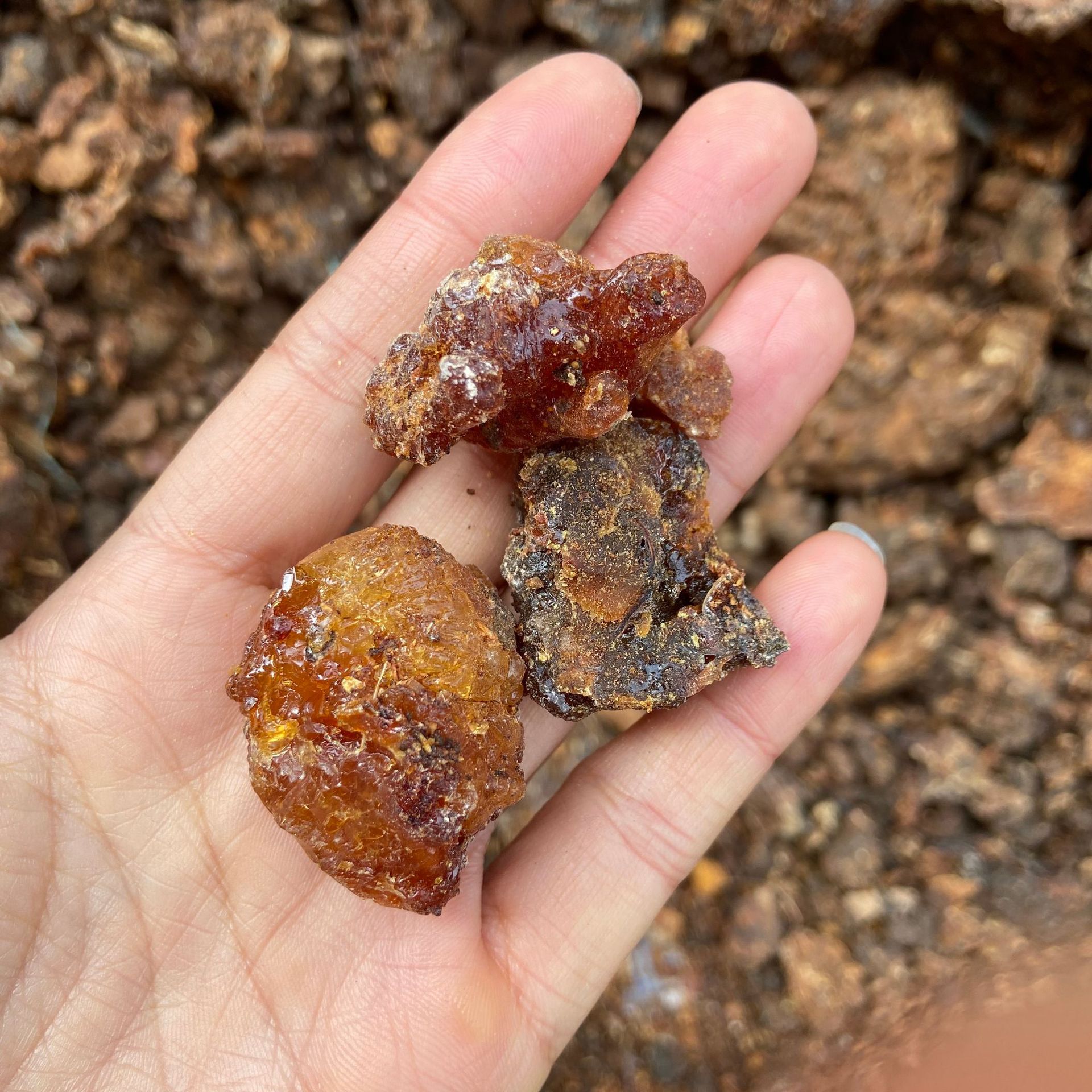 Myrrh Resin Mo Yao 500g Dried Commiphora Botanical for Traditional Herbal Use specifications