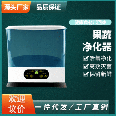 智能果蔬家用多功能活氧机 消毒机 臭氧清洗食材净化器 礼品批发|ms