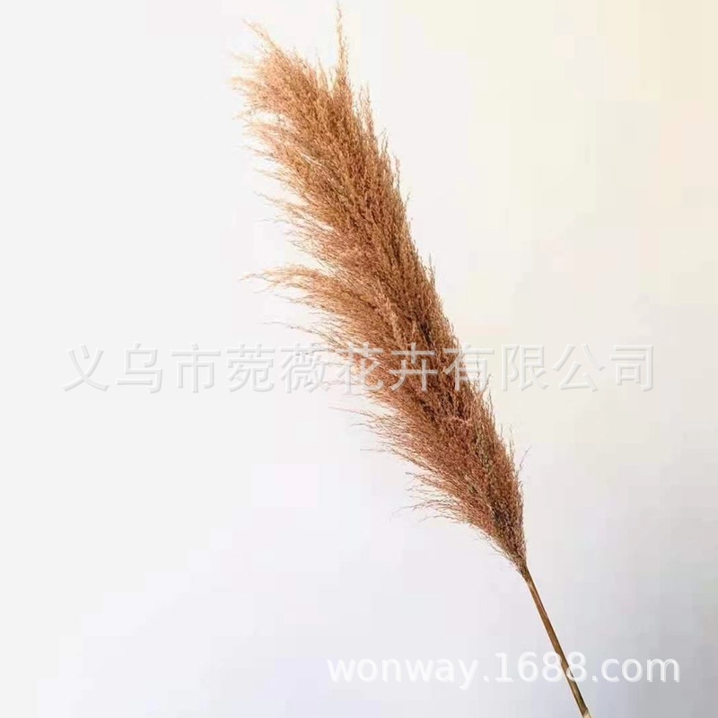 微信图片_20201122135416