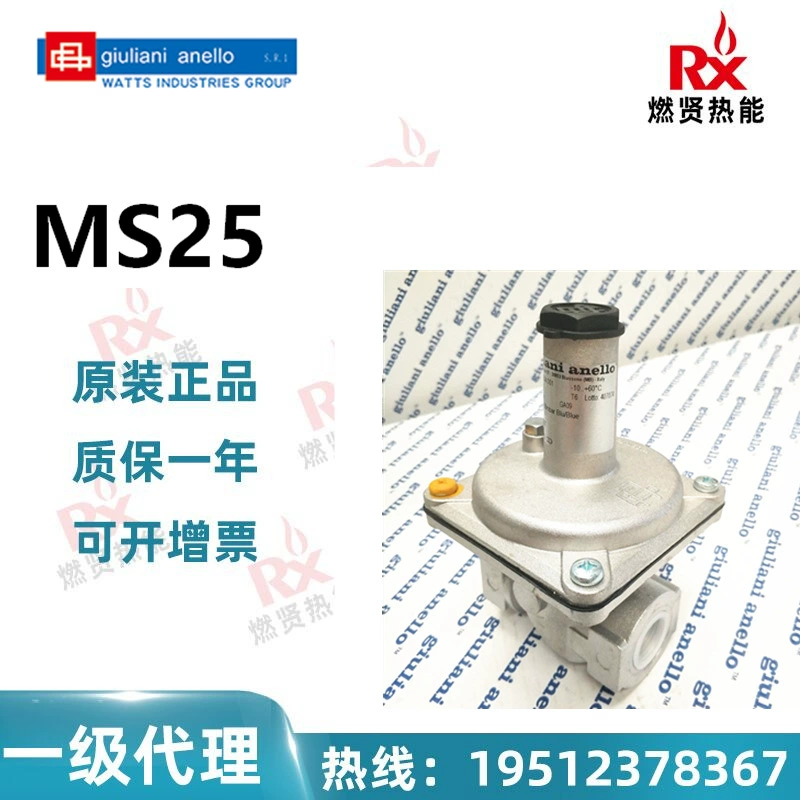 Клапан выпуска Италии Джулиани МС25 в запасе 20 первоначальный совершенно новый