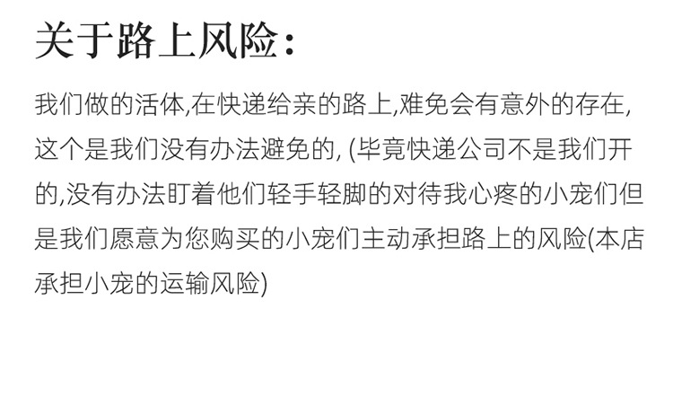 乌龟_13