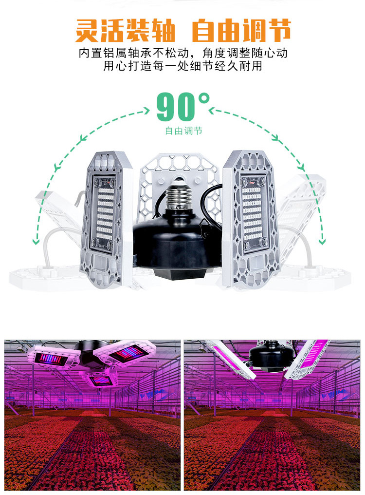 全光谱-植物灯-(阿里巴巴）（红蓝光）详情页_07.jpg