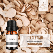 ƾAngelica dahurica oilͳRȡηԭ