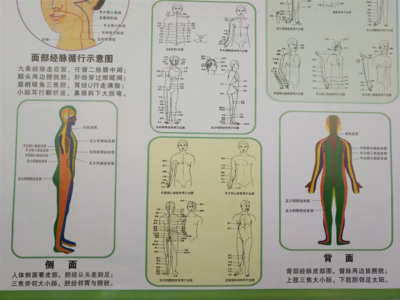 批发小尺寸人体经络刮痧挂图 刮痧图 彩色正反面刮痧穴位图可定制-阿里巴巴