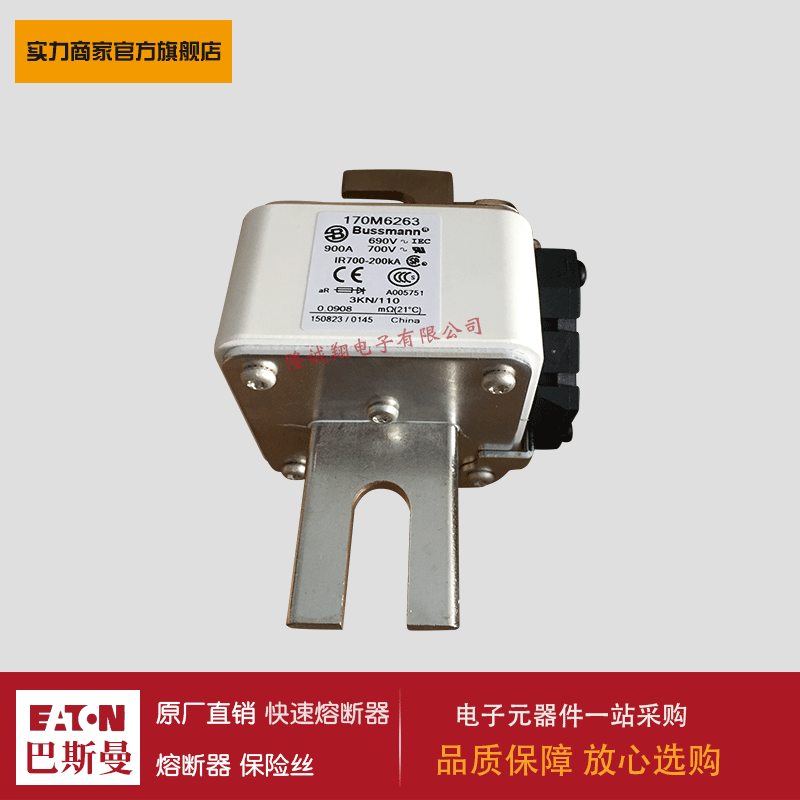 熔断器170M6262 170M6263 170M6264 170M6265 170M6266 170M6267